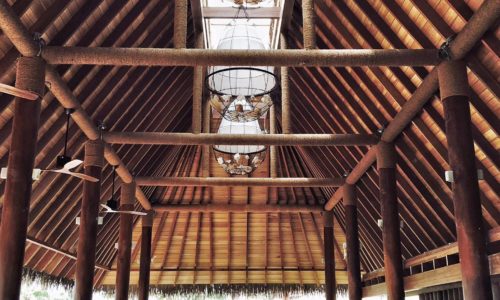 13639878_10154361705903923_1952591217_o